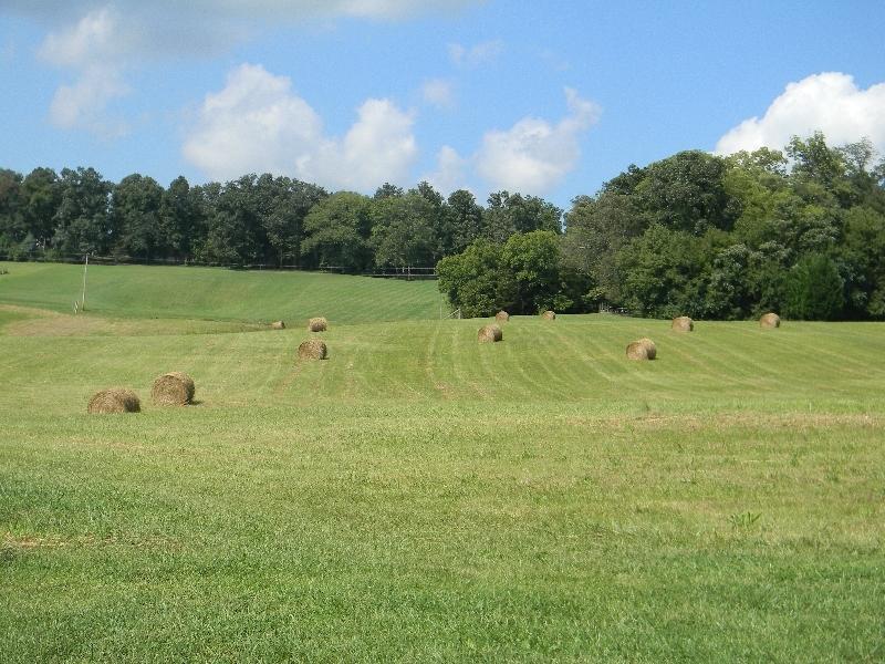 Hickory Ridge Road White Pine, TN 37890 - Photo 5 of 19 0 Hickory Ridge Road, Jenkins 010
