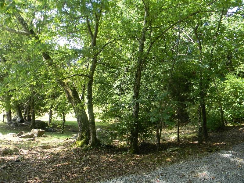 Hickory Ridge Road White Pine, TN 37890 - Photo 10 of 19 0 Hickory Ridge Road, Jenkins 019