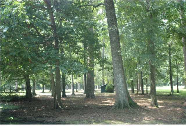 6050 County Line Road Ravenel, SC 29470 - Photo 22 of 24 Additional Photo