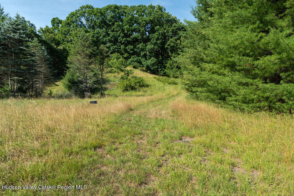 189 Tice Road Ellenville, NY 12428 - Photo 10 of 44 9