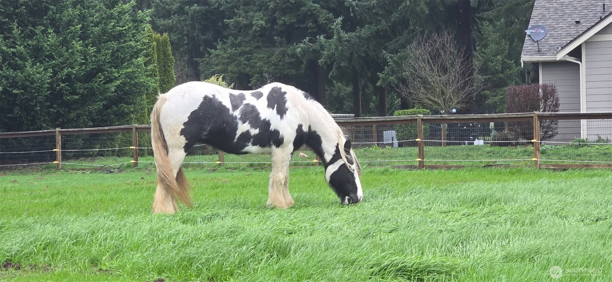 8106 Spurgeon Creek Road Southeast Olympia, WA 98513 - Photo 24 of 29 a view of backyard with trampoline