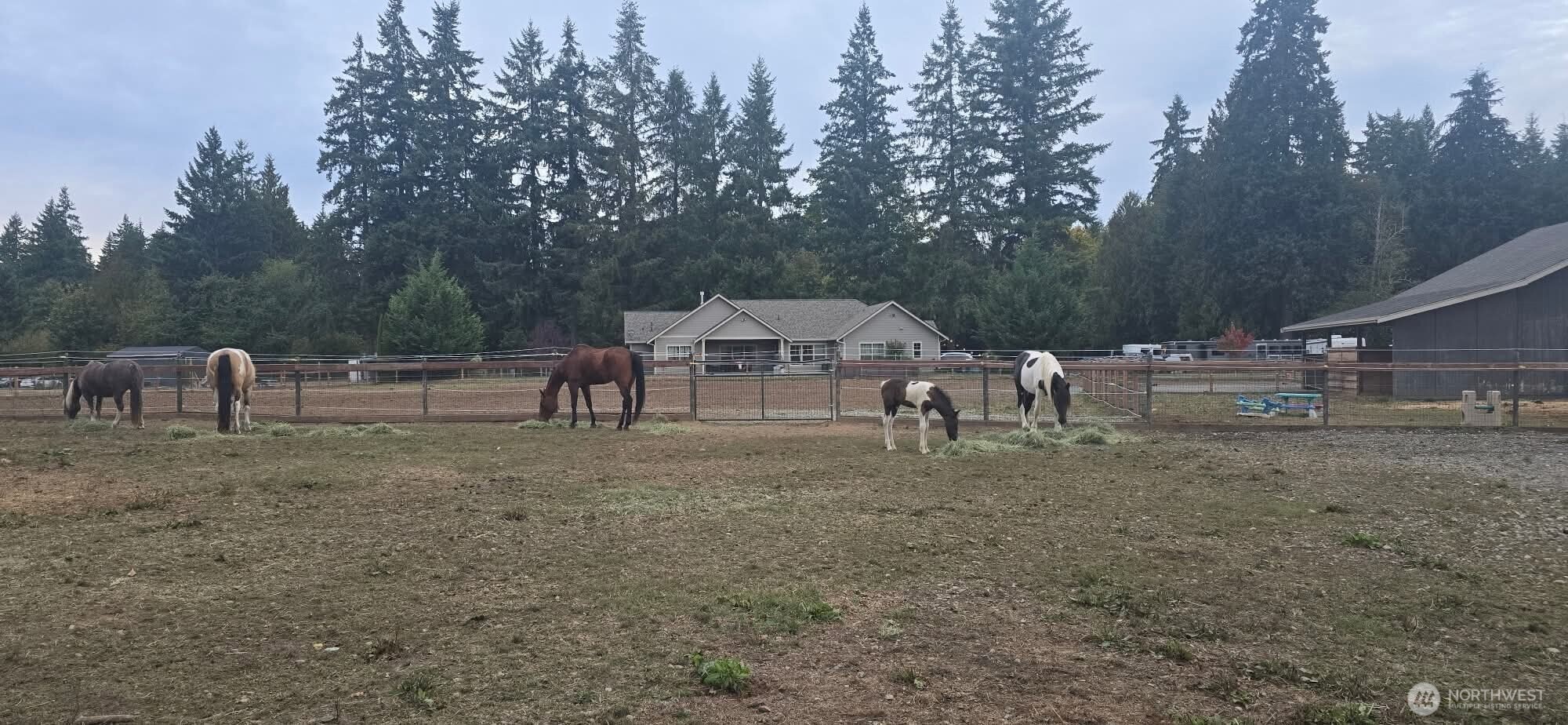 8106 Spurgeon Creek Road Southeast Olympia, WA 98513 - Photo 25 of 29 a view of a house with a yard and entertaining space