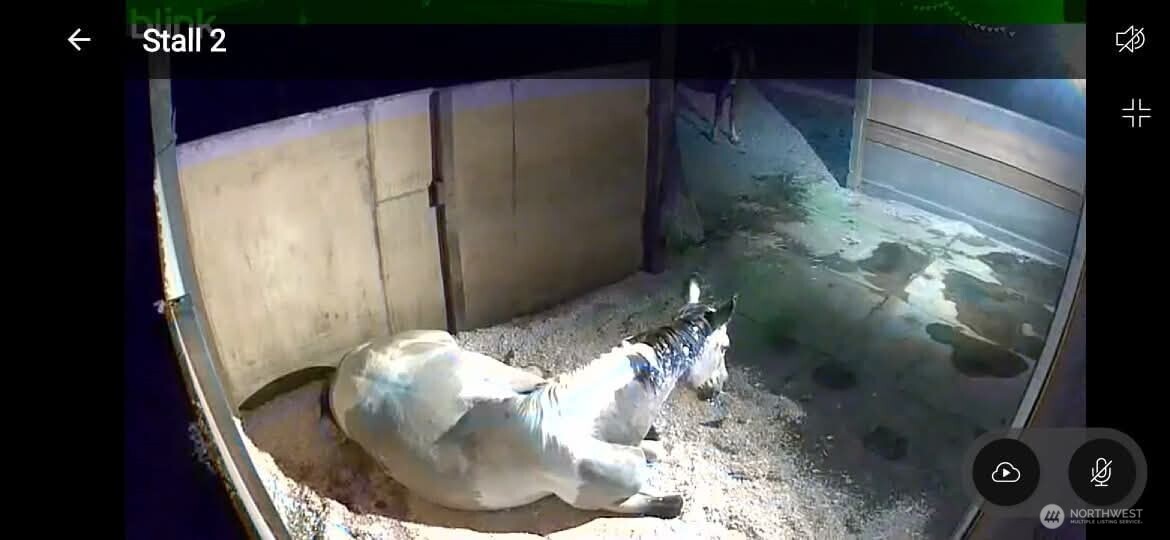 8106 Spurgeon Creek Road Southeast Olympia, WA 98513 - Photo 28 of 29 a view of a chandelier in dining room