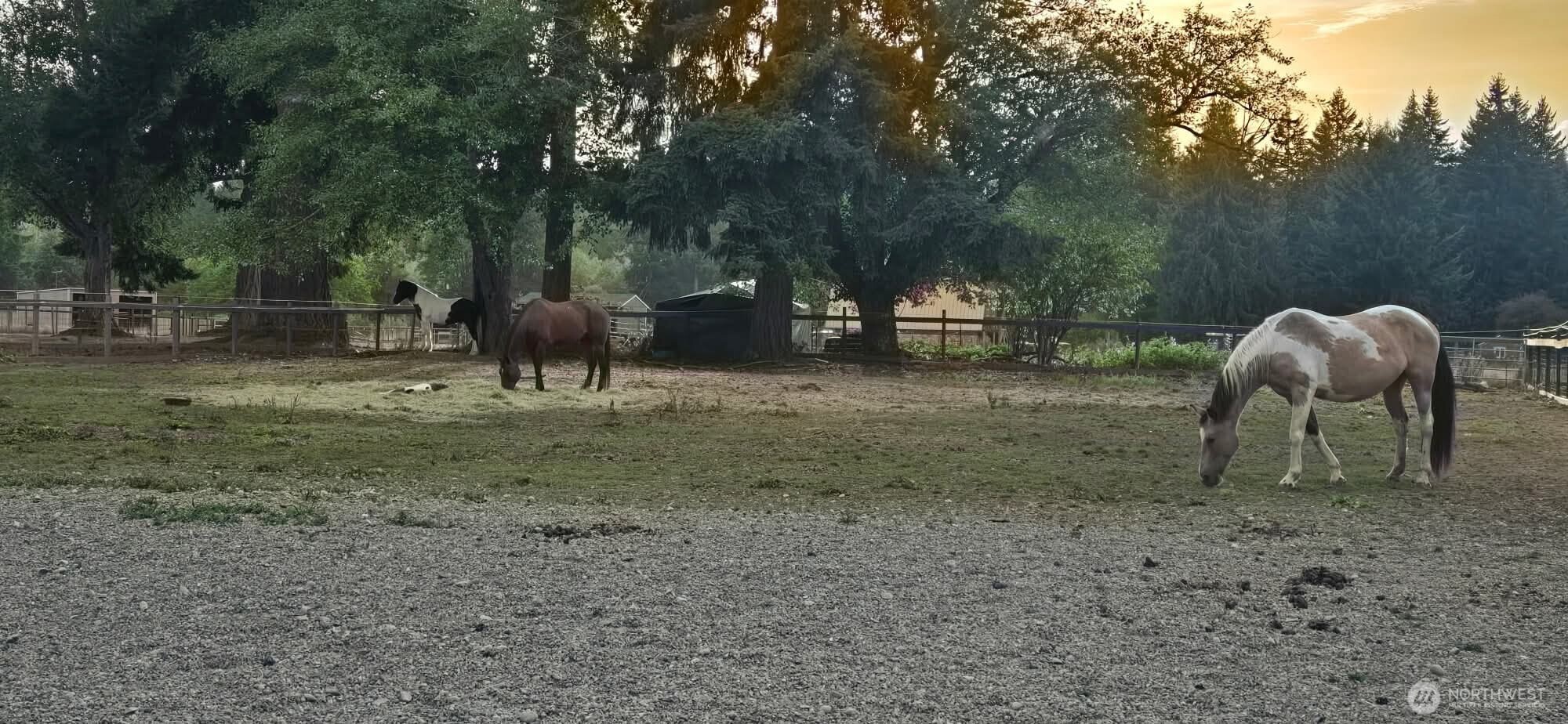 8106 Spurgeon Creek Road Southeast Olympia, WA 98513 - Photo 29 of 29 a view of a yard in a forest