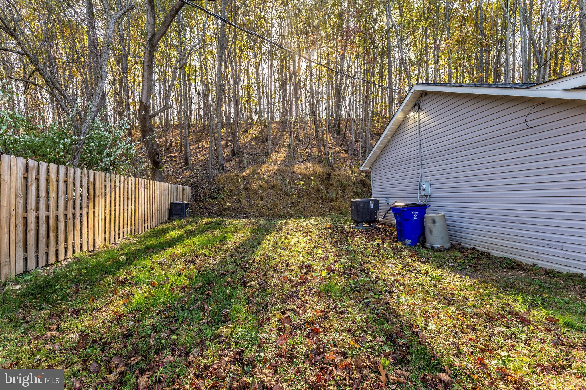 417 Twin Arch Road Mount Airy, MD 21771 - Photo 46 of 59 Side Yard View