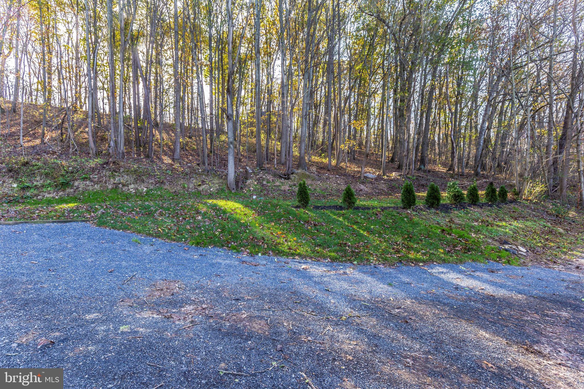 417 Twin Arch Road Mount Airy, MD 21771 - Photo 51 of 59 Partially Wooded Lot