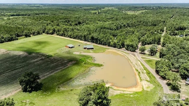 a view of a swimming pool with a yard
