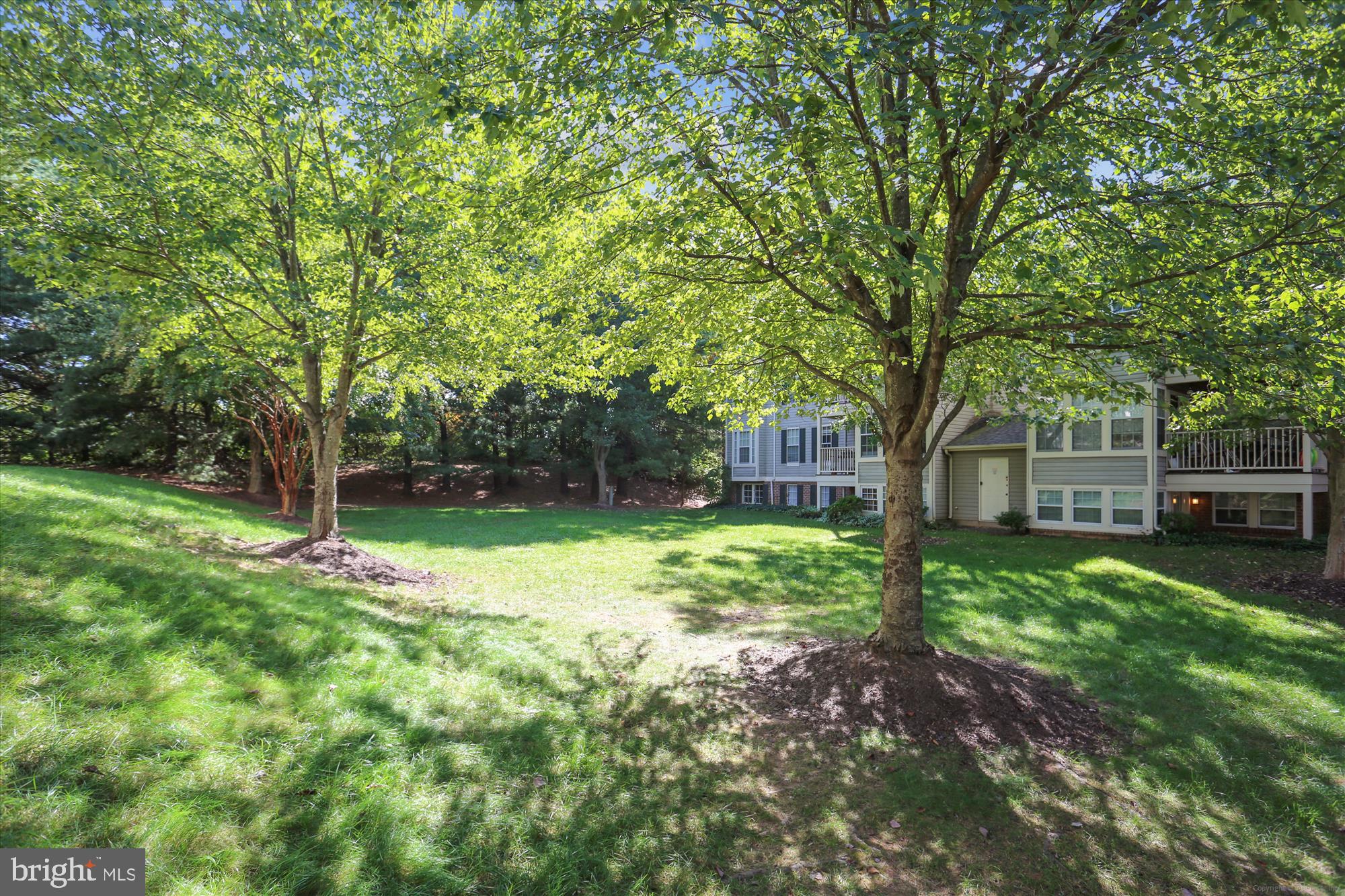 13114 Briarcliff Terrace, Unit 407 Germantown, MD 20874 - Photo 43 of 77 a backyard of a house with seating and green space
