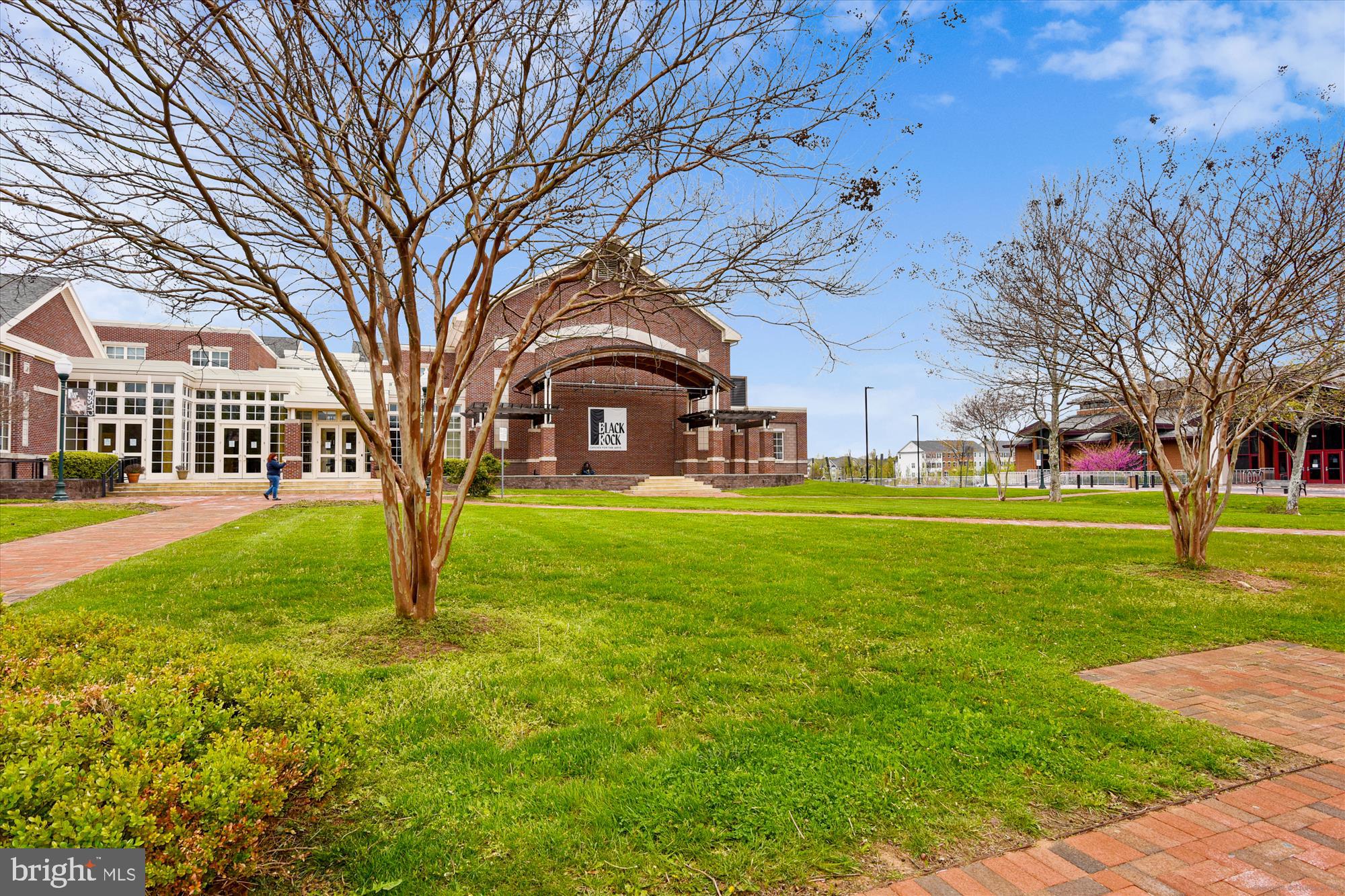 13114 Briarcliff Terrace, Unit 407 Germantown, MD 20874 - Photo 46 of 77 a view of a yard with a house in the background