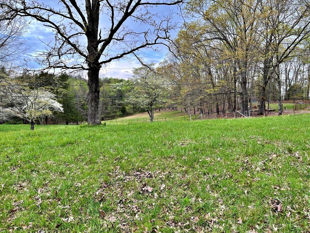180 Shoemaker Lane Decatur, TN 37322 - Photo 9 of 70 Gallery Image 9