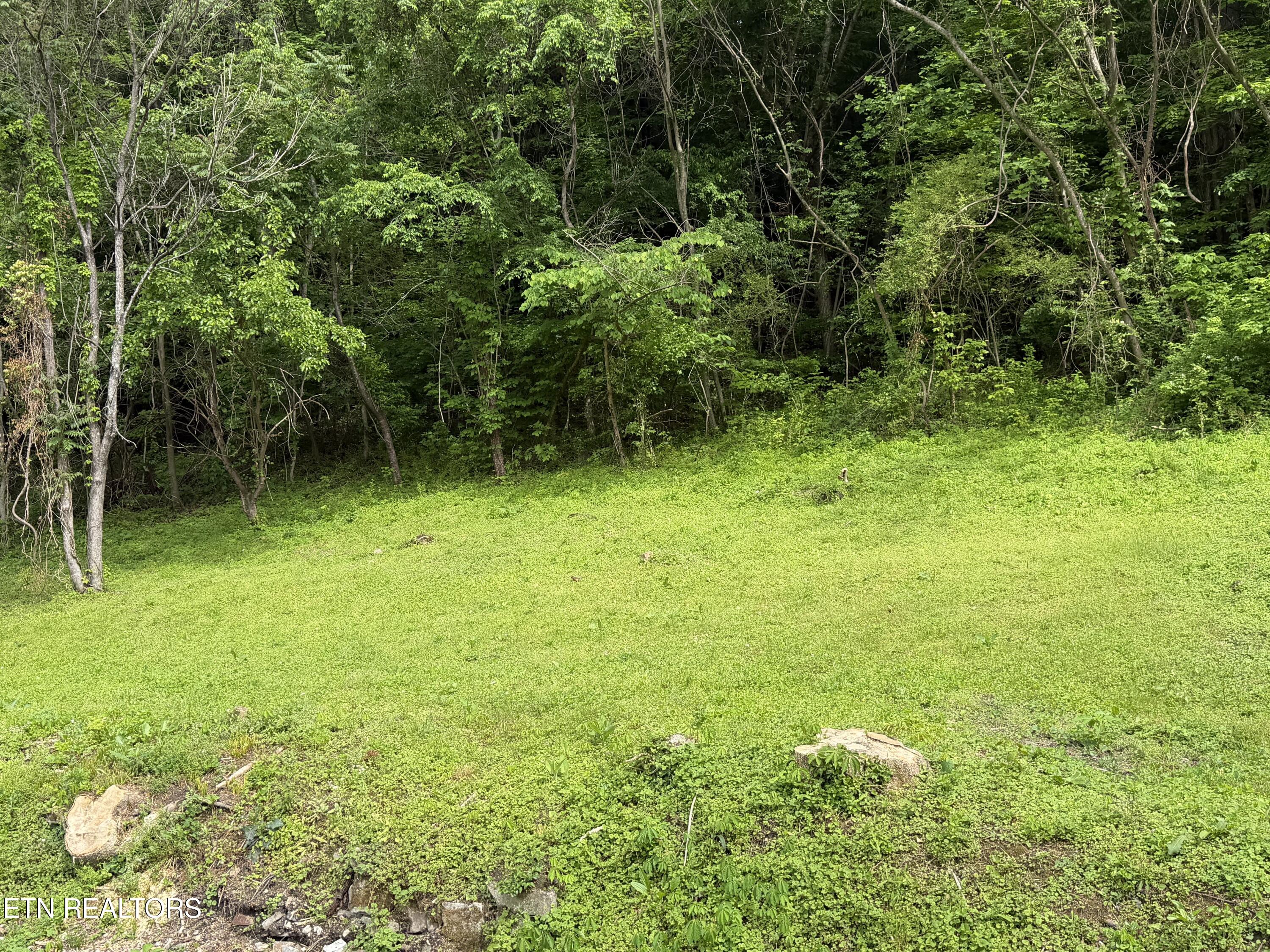 717 Cherry Street La Follette, TN 37766 - Photo 31 of 33 IMG_0706