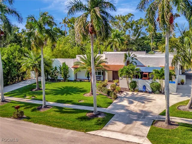 a view of a park with plants and large trees