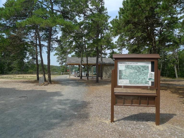 3 Princess Path East Dennis, MA 02660 - Photo 29 of 32 a view of backyard with outdoor seating and trees