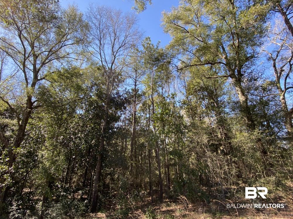 0 Moffett Road Semmes, AL 36575 - Photo 5 of 7