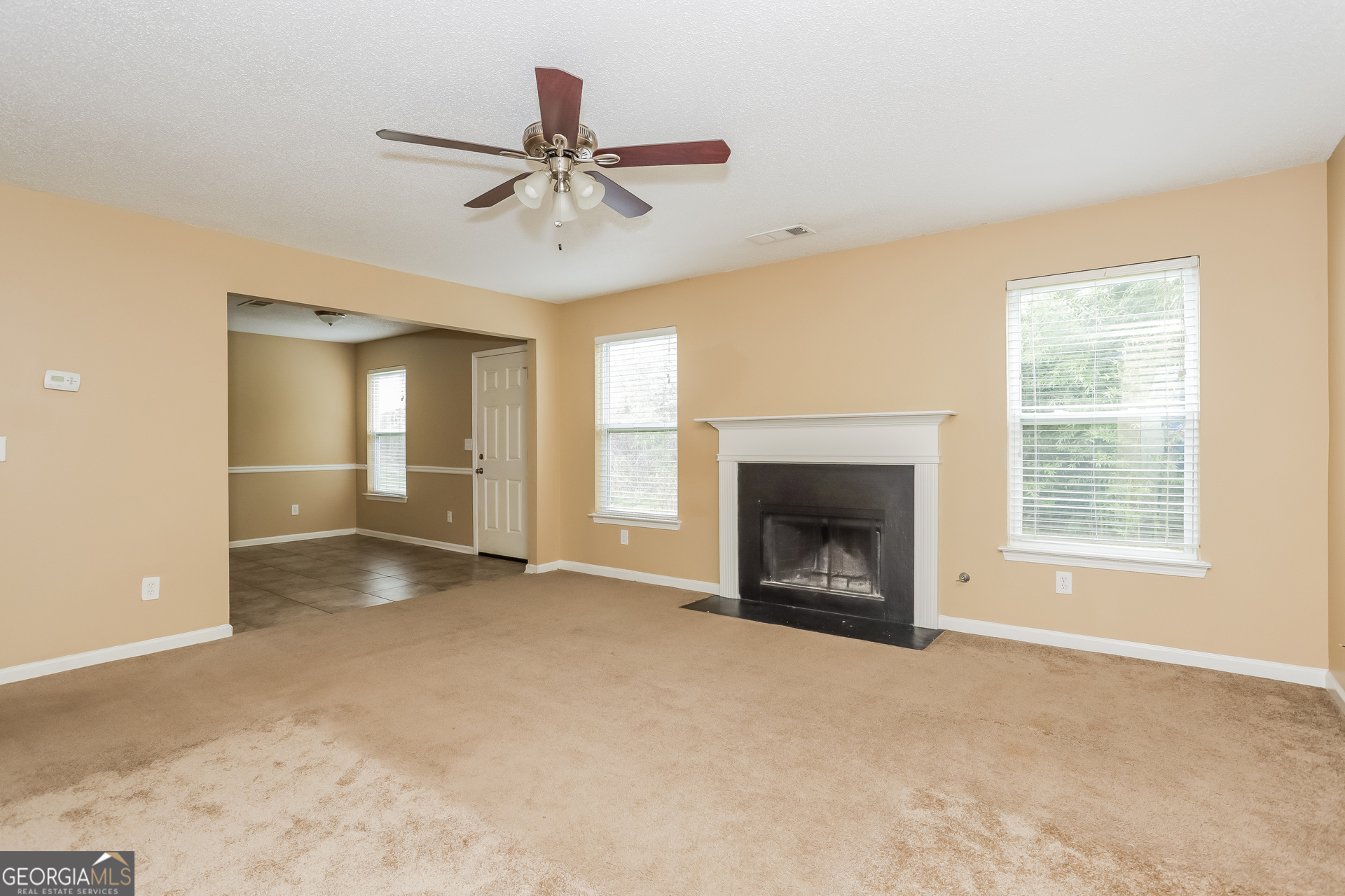 5002 Serenity Point Lane Villa Rica, GA 30180 - Photo 3 of 17 an empty room with a fireplace and windows