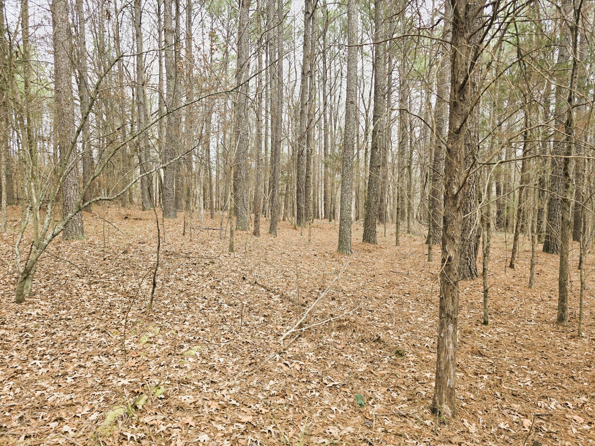 0 Zig Zag Road Big Sandy, TN 38221 - Photo 11 of 15 a view of wooden fence