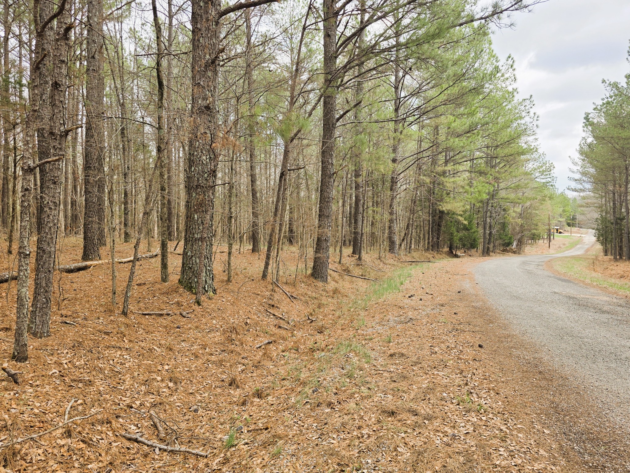 0 Zig Zag Road Big Sandy, TN 38221 - Photo 2 of 15 a view of covered with snow