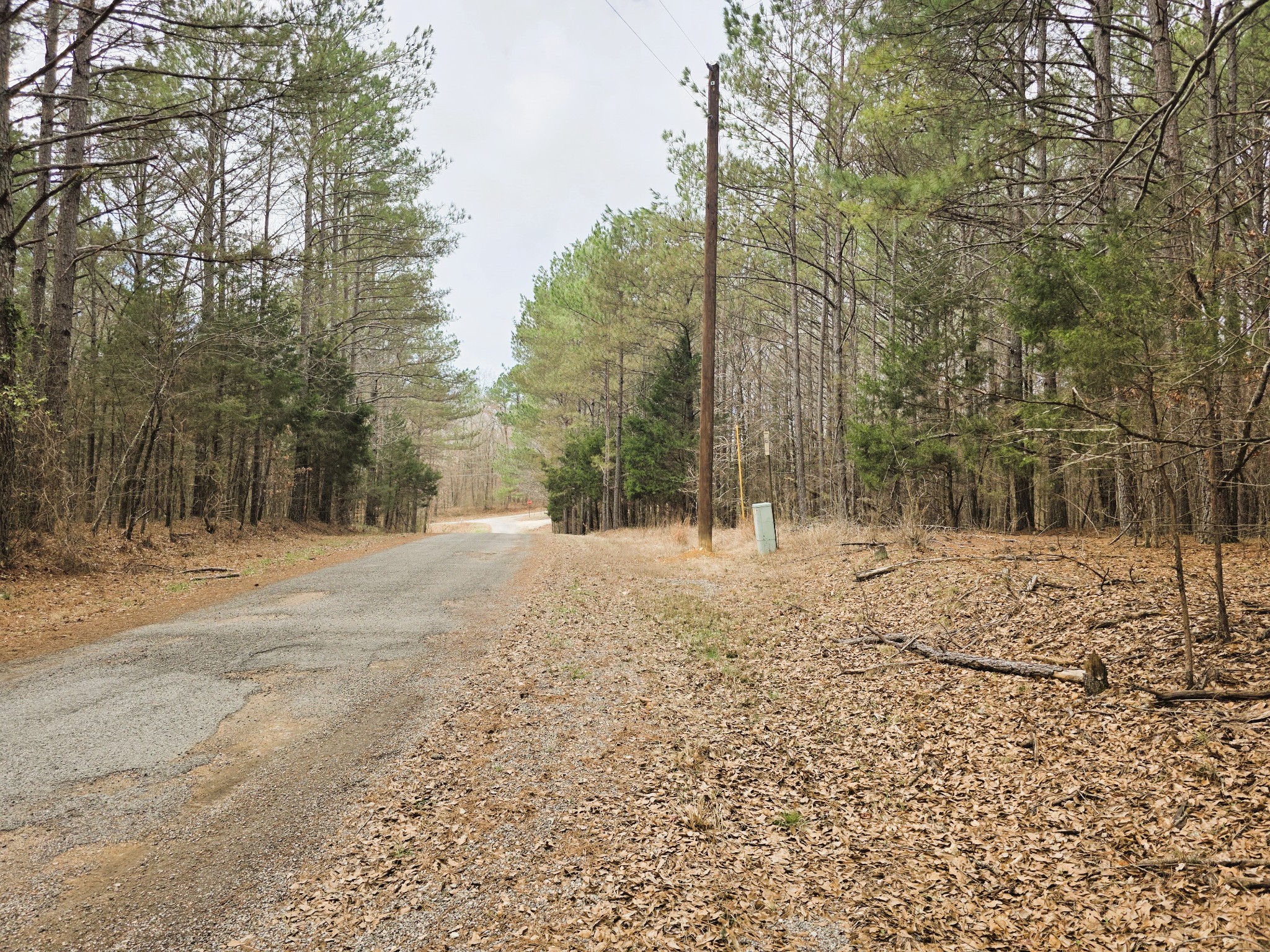 0 Zig Zag Road Big Sandy, TN 38221 - Photo 3 of 15 a view of a yard with snow