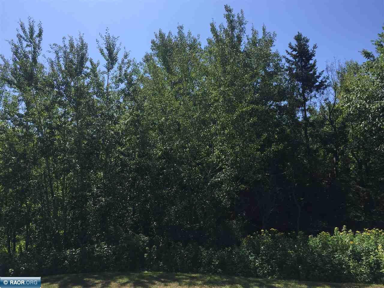 Tbd Owens Road Hibbing, MN 55746 - Photo 2 of 6 Gallery Image 2
