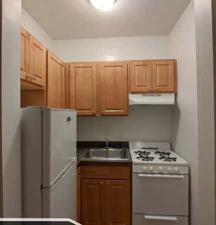 $1,250 | 1742 North Humboldt Boulevard, Unit 208, Chicago, IL 60647