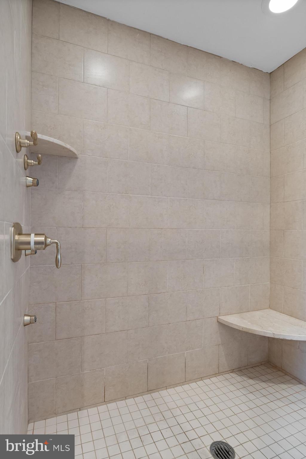 124 Bainbridge Street Philadelphia, PA 19147 - Photo 32 of 53 Primary shower