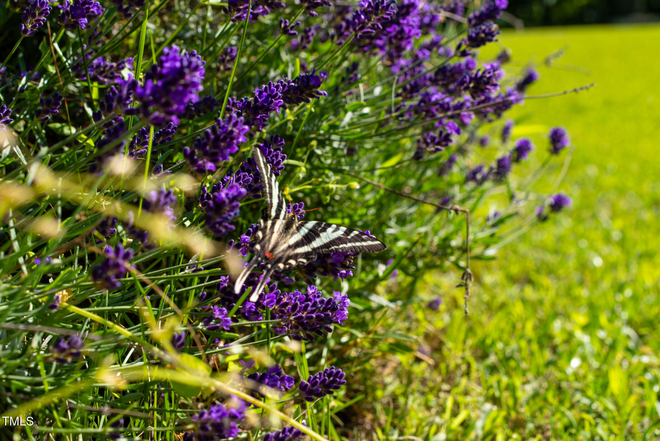 1045 Taylor Hill Road Westfield, NC 27053 - Photo 28 of 95 Singletree-28