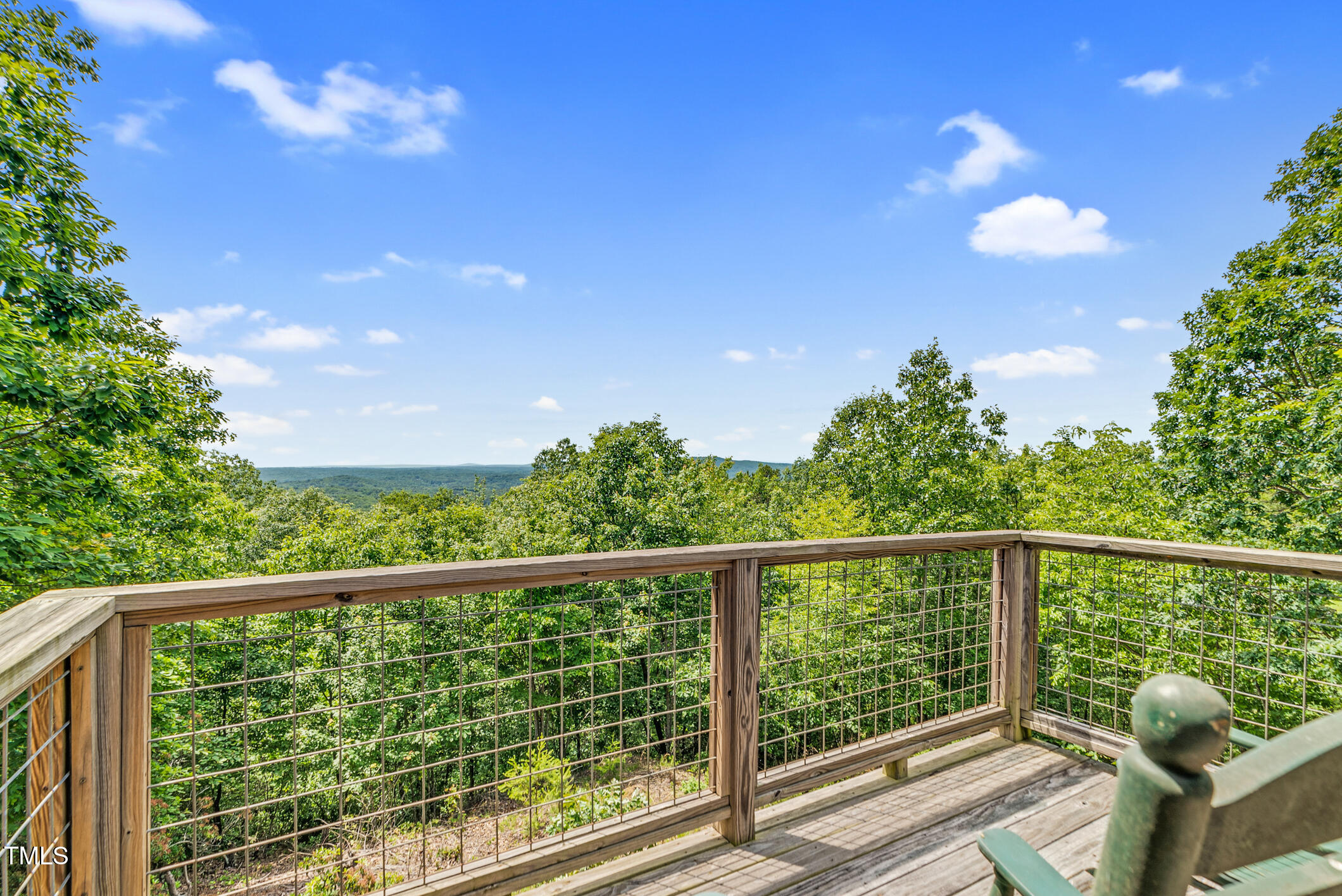 1045 Taylor Hill Road Westfield, NC 27053 - Photo 77 of 95 Singletree-78