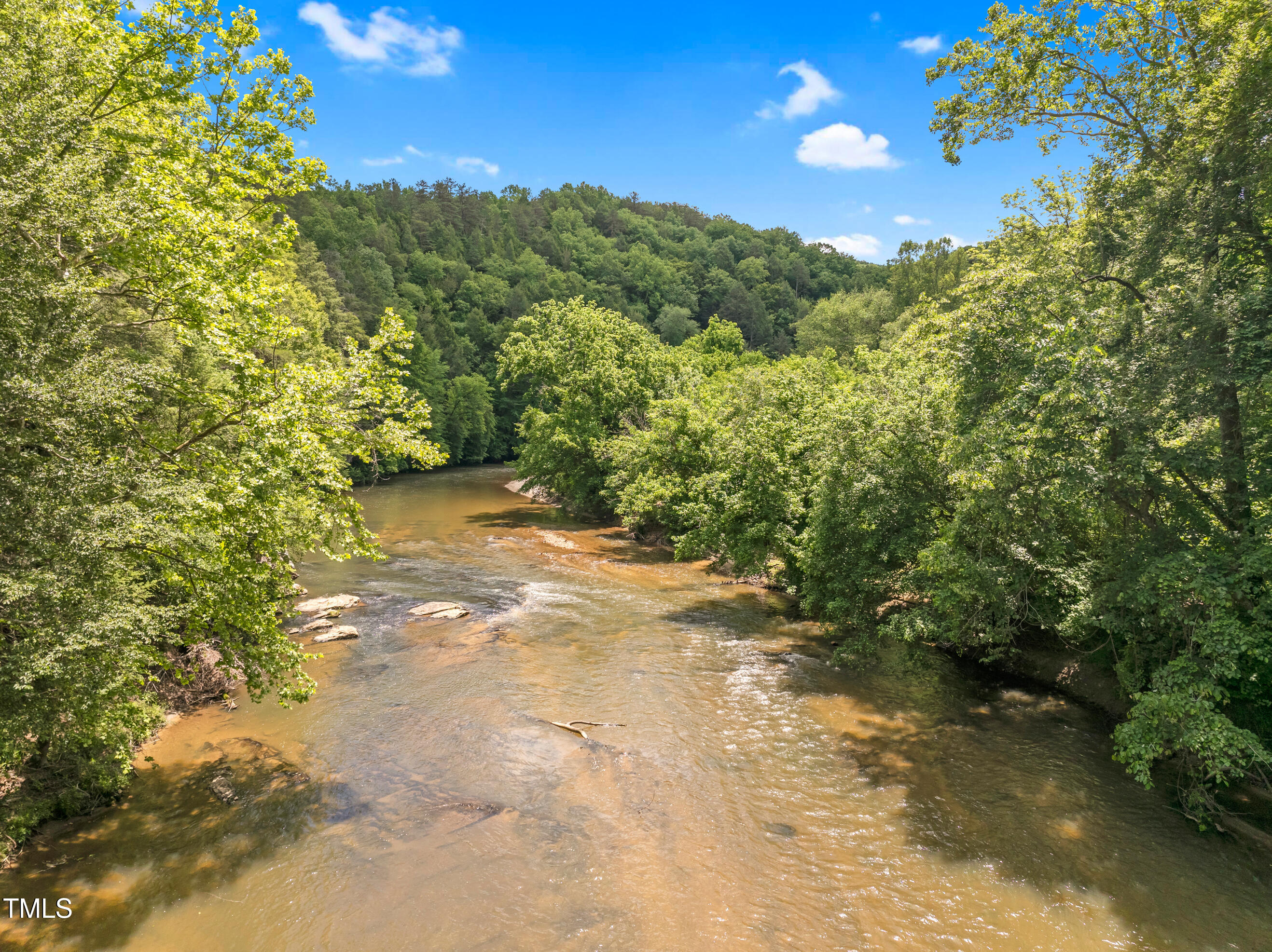 1045 Taylor Hill Road Westfield, NC 27053 - Photo 10 of 95 Singletree-10