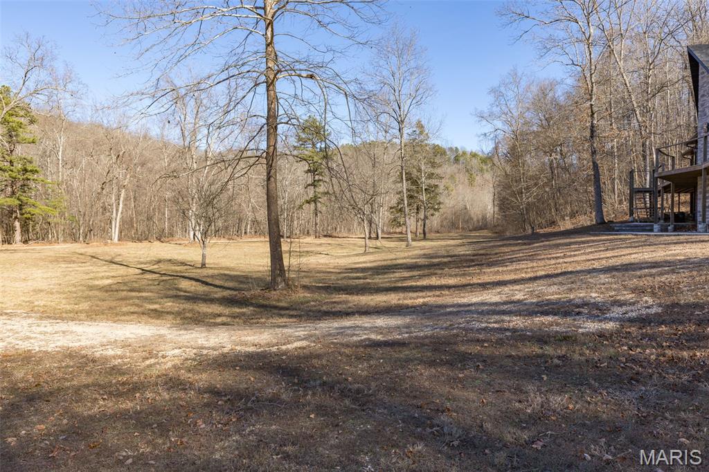 1 River Road Annapolis, MO 63620 - Photo 8 of 51