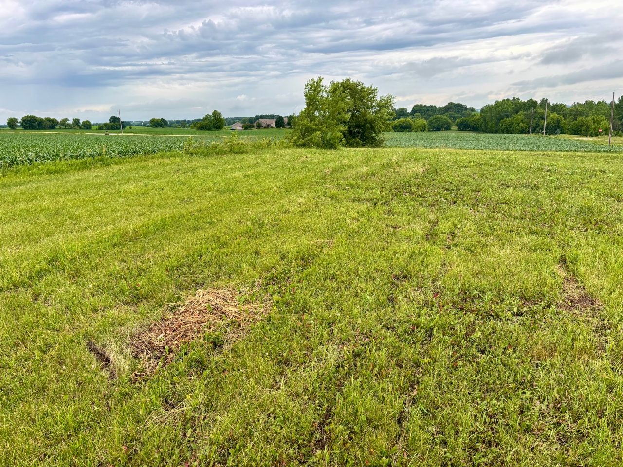 7087 Nenno Road Addison, WI 53002 - Photo 5 of 7 Photo 5