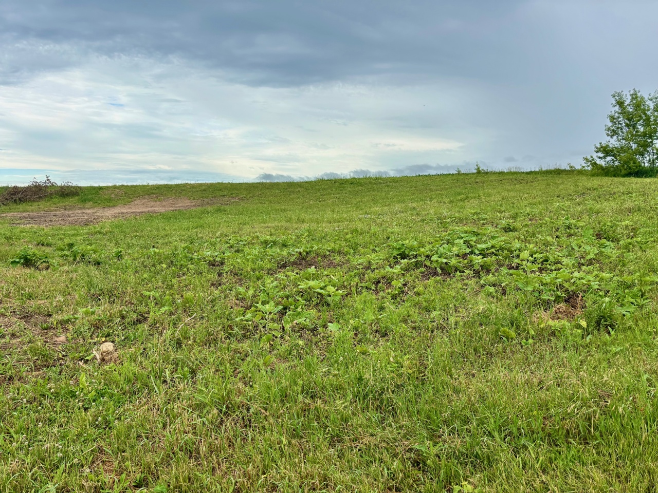 7087 Nenno Road Addison, WI 53002 - Photo 6 of 7 Photo 6