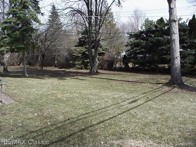 29434 Fall River Road Southfield, MI 48076 - Photo 3 of 10 Privacy in BackYard