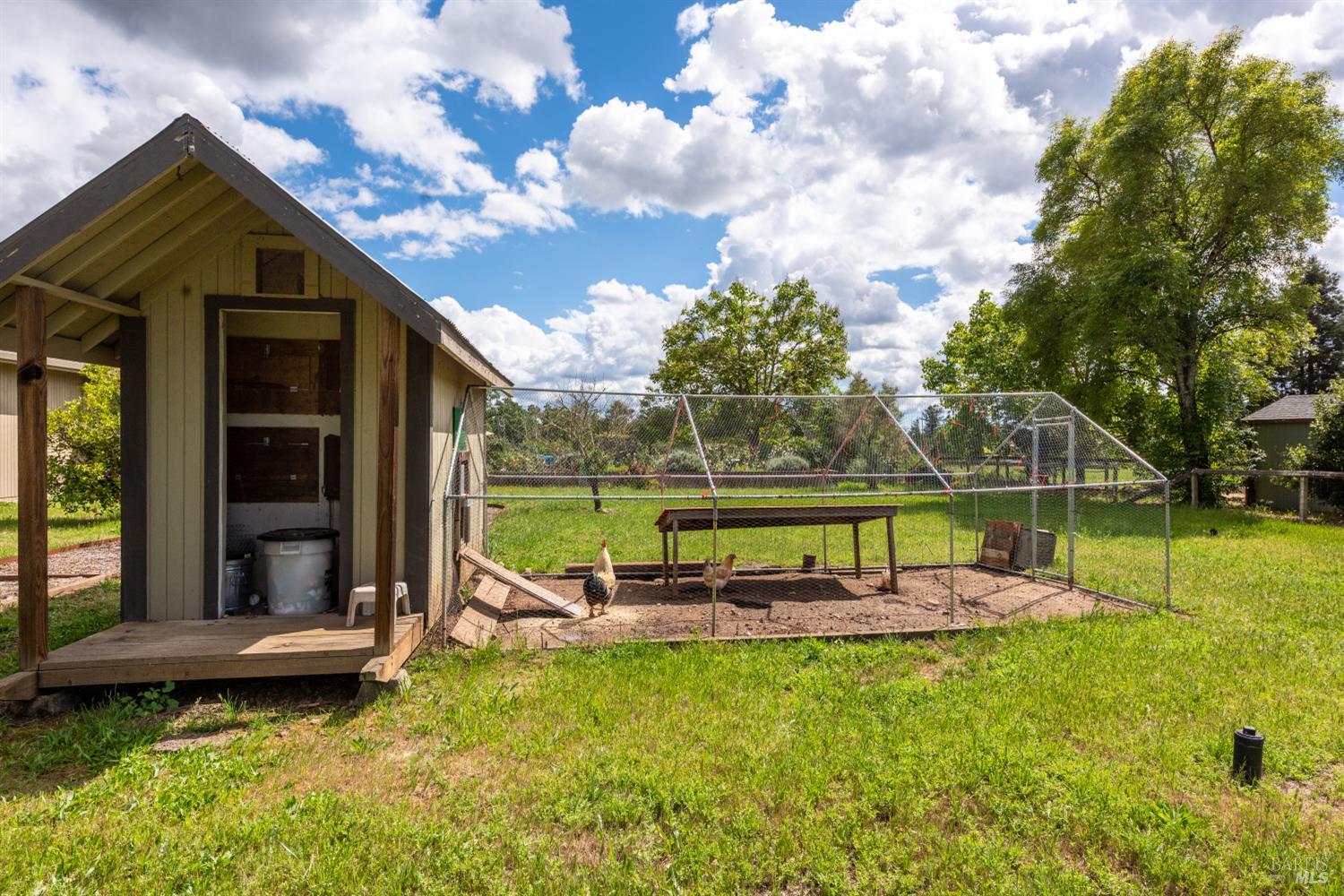 1084 Red Tail Road Healdsburg, CA 95448 - Photo 47 of 59