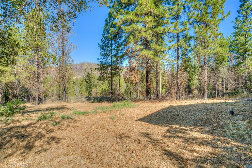 110 Black Bear Road Berry Creek, CA 95916 - Photo 45 of 66