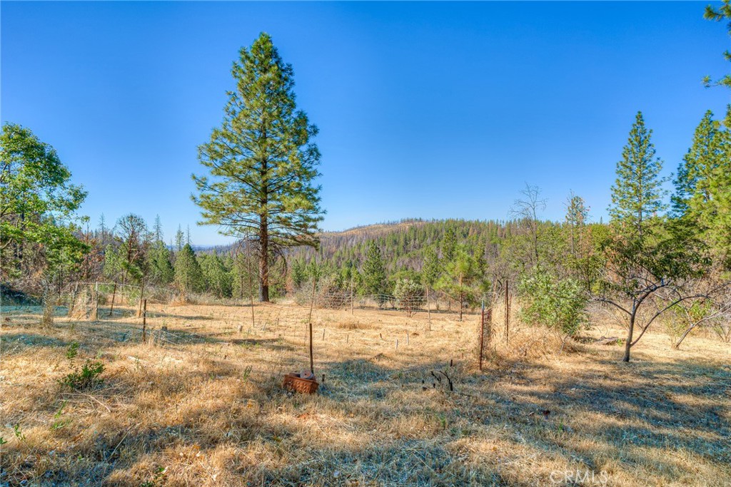 110 Black Bear Road Berry Creek, CA 95916 - Photo 46 of 66 Garden Area