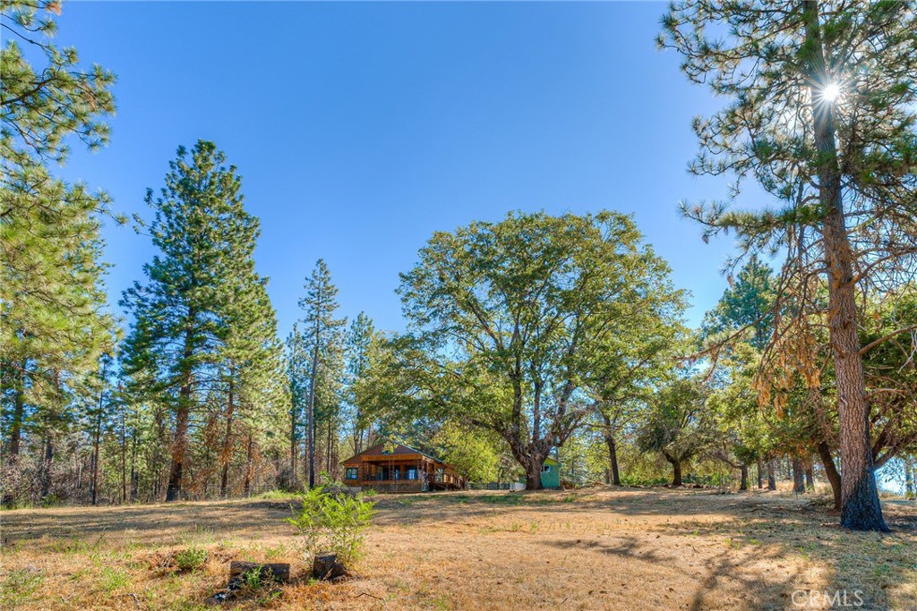 110 Black Bear Road Berry Creek, CA 95916 - Photo 47 of 66 Looking at back of home, metal woodshed next to large Black Oak tree