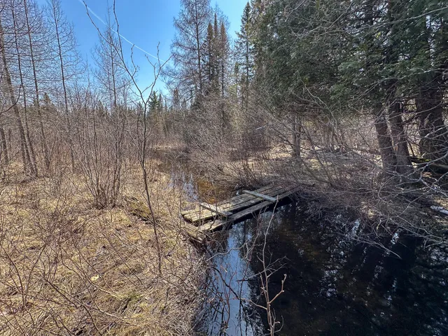 $399,000 | 12447 Cold River Drive, Fife Lake, MI 49633