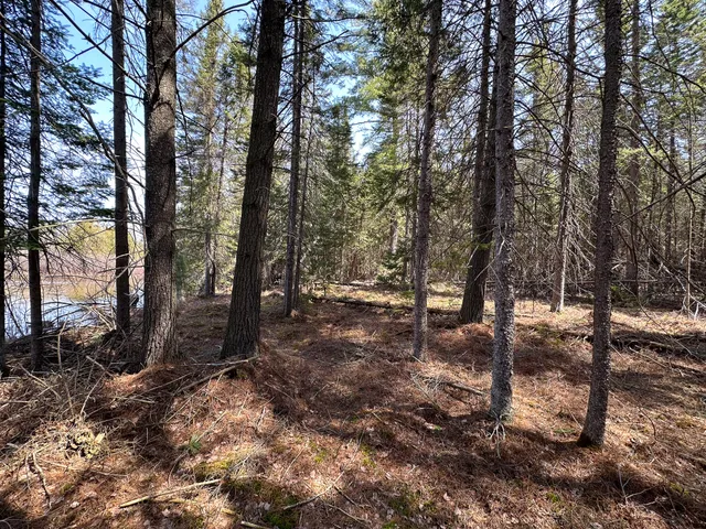 $399,000 | 12447 Cold River Drive, Fife Lake, MI 49633