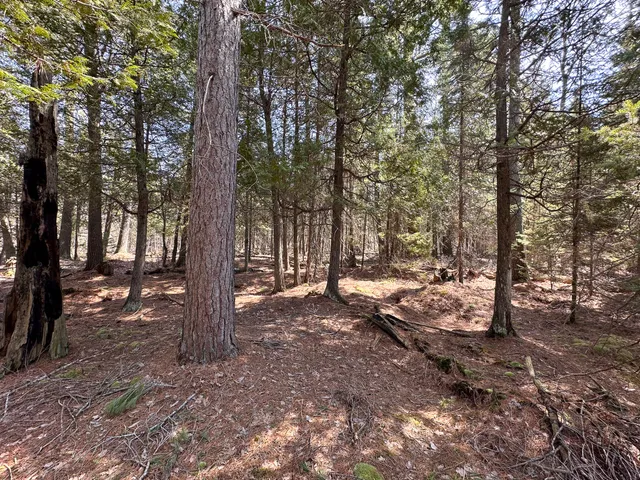 $399,000 | 12447 Cold River Drive, Fife Lake, MI 49633