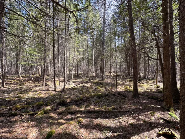 $399,000 | 12447 Cold River Drive, Fife Lake, MI 49633