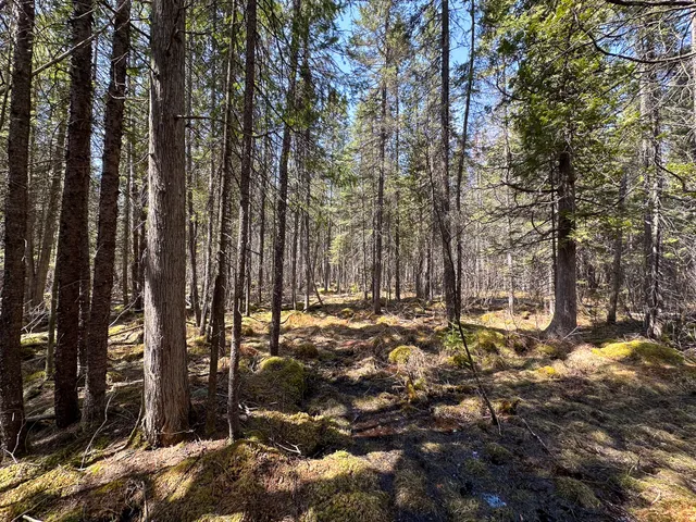 $399,000 | 12447 Cold River Drive, Fife Lake, MI 49633