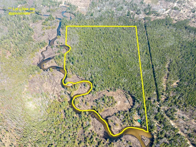 $399,000 | 12447 Cold River Drive, Fife Lake, MI 49633