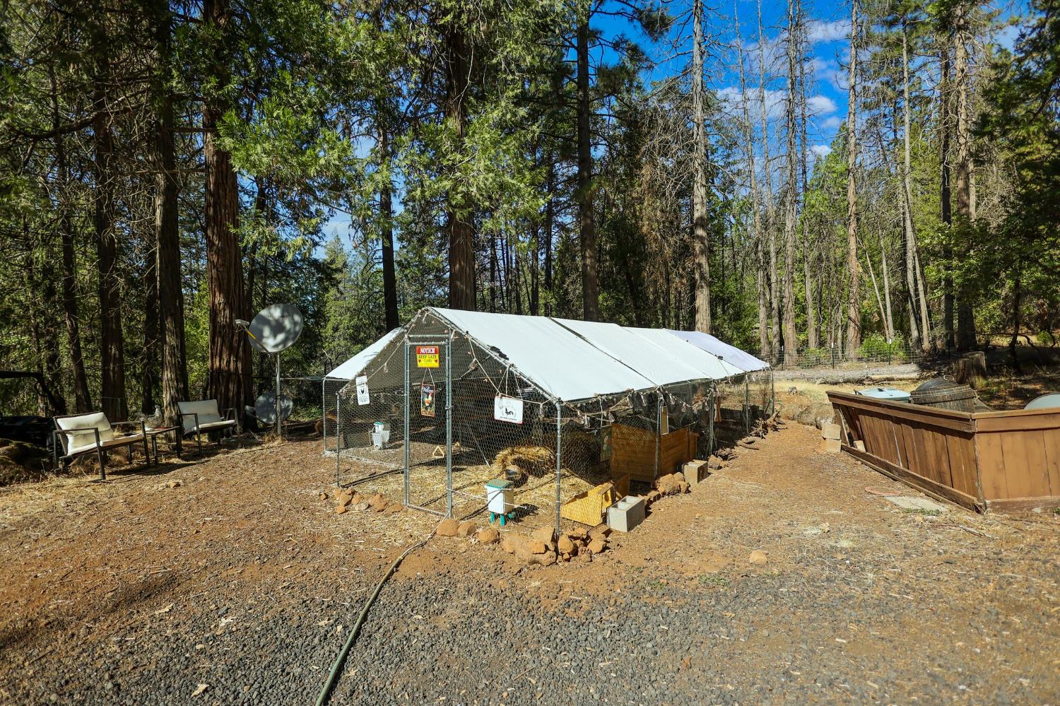21800 Cedar Ridge Road Manton, CA 96059 - Photo 28 of 35 a view of a house with a yard and sitting area