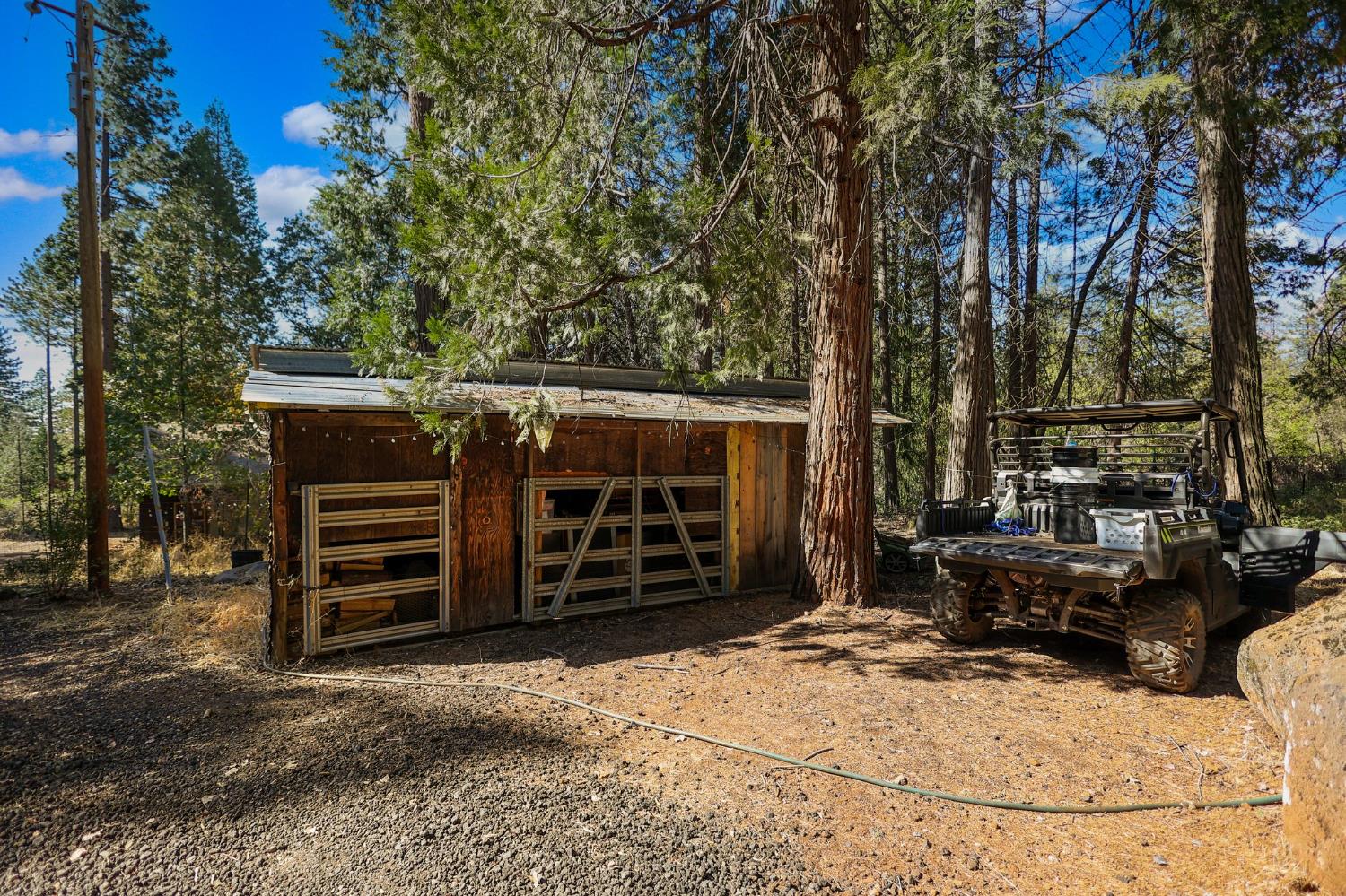 21800 Cedar Ridge Road Manton, CA 96059 - Photo 29 of 35 a view of a house with a yard