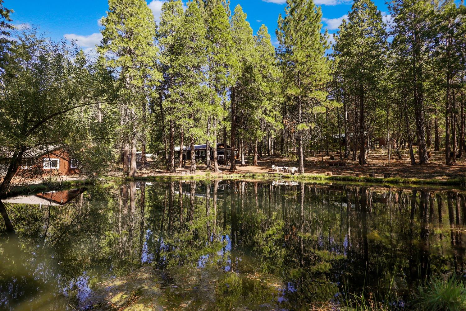 21800 Cedar Ridge Road Manton, CA 96059 - Photo 31 of 35 a view of lake