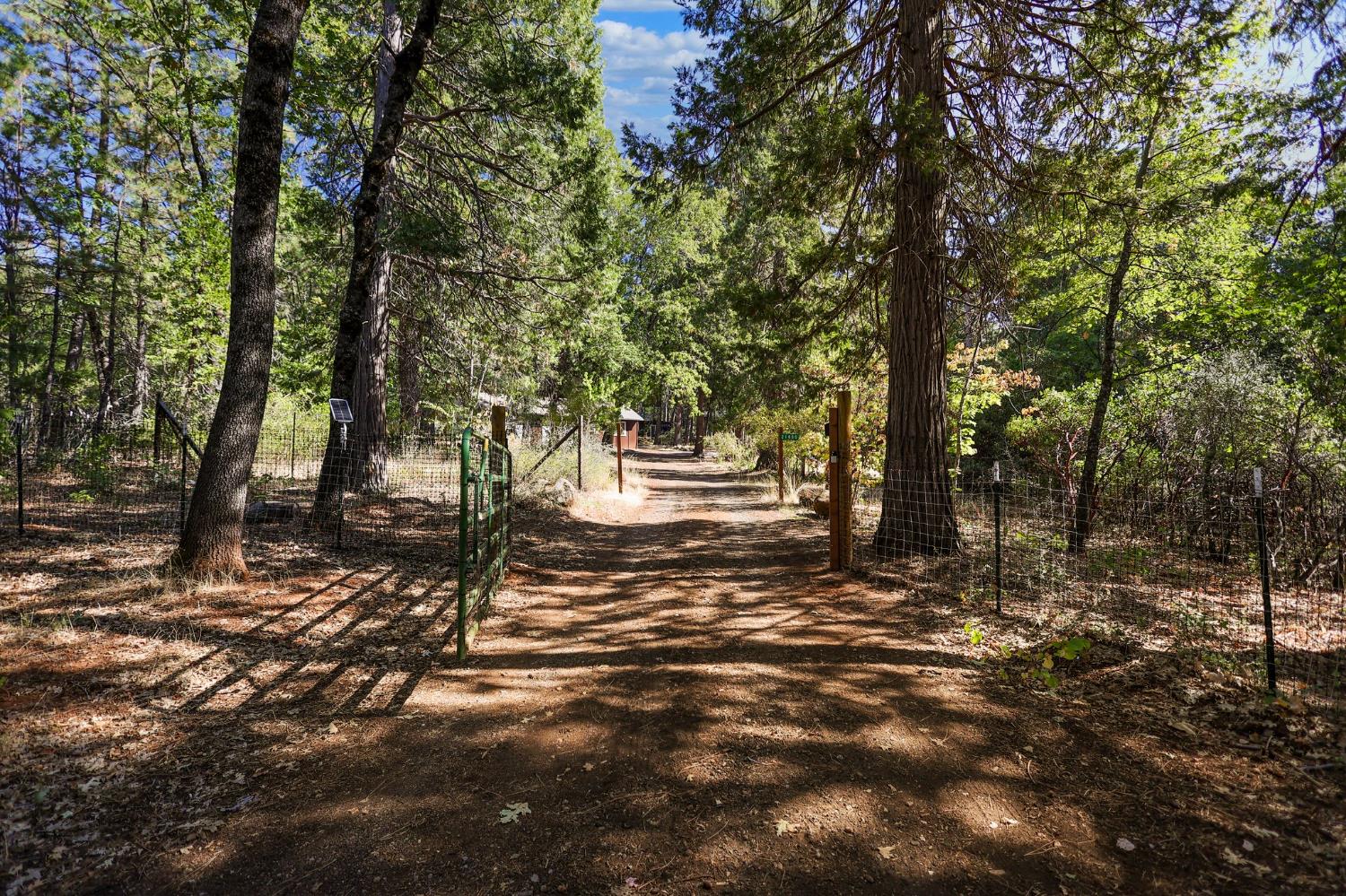 21800 Cedar Ridge Road Manton, CA 96059 - Photo 34 of 35 a backyard of a house with lots of green space