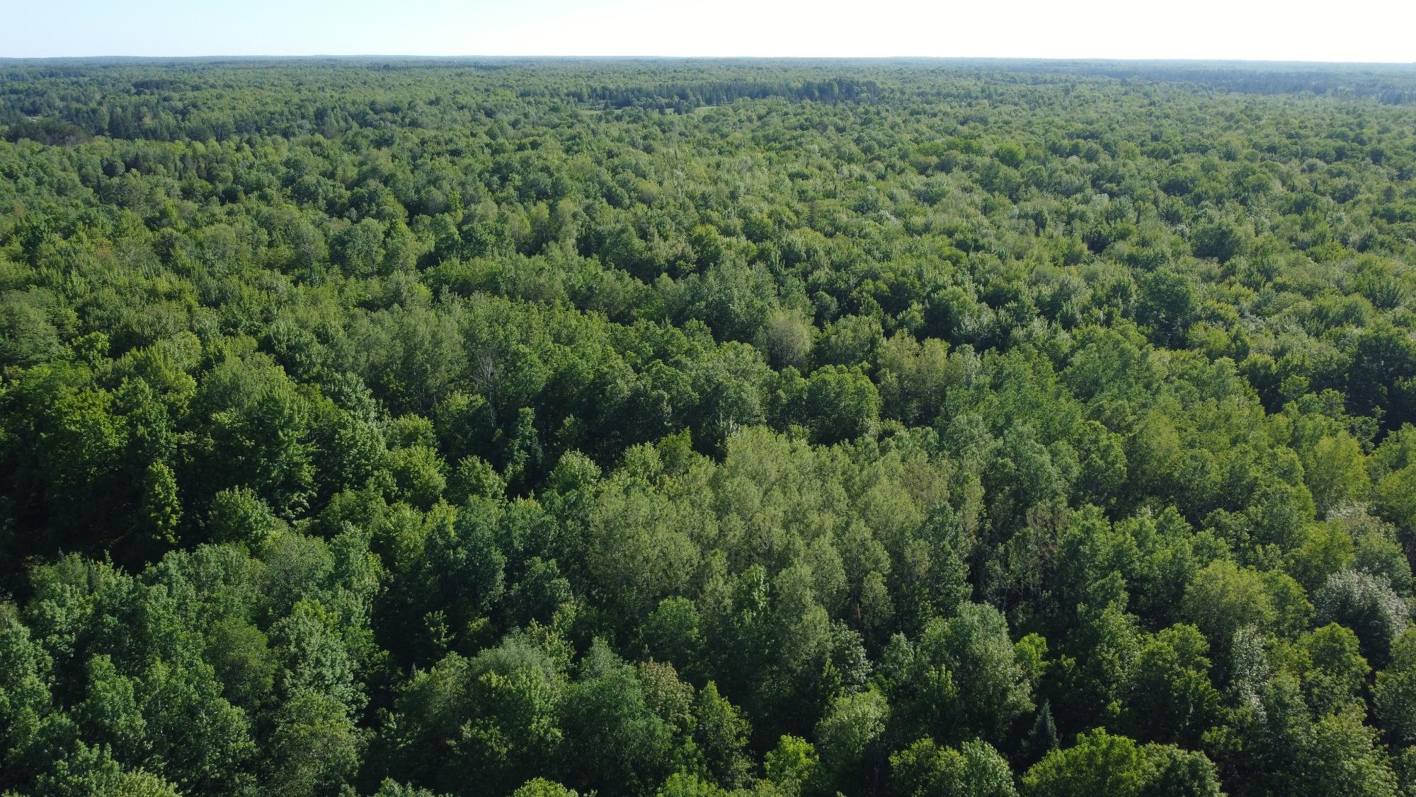 N7295 East Dover Road Phillips, WI 54555 - Photo 21 of 35 Gallery Image 21