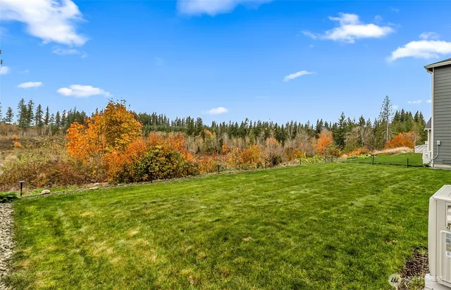 a view of a grassy field with trees