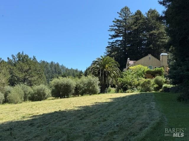 16875 Coleman Valley Road Occidental, CA 95465 - Photo 64 of 78