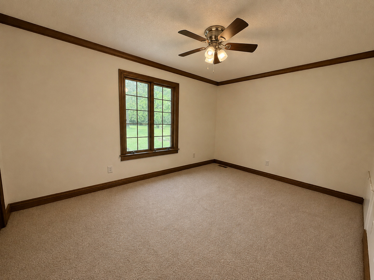 5996 South US 45 Road Metropolis, IL 62960 - Photo 21 of 41 an empty room with windows and fan